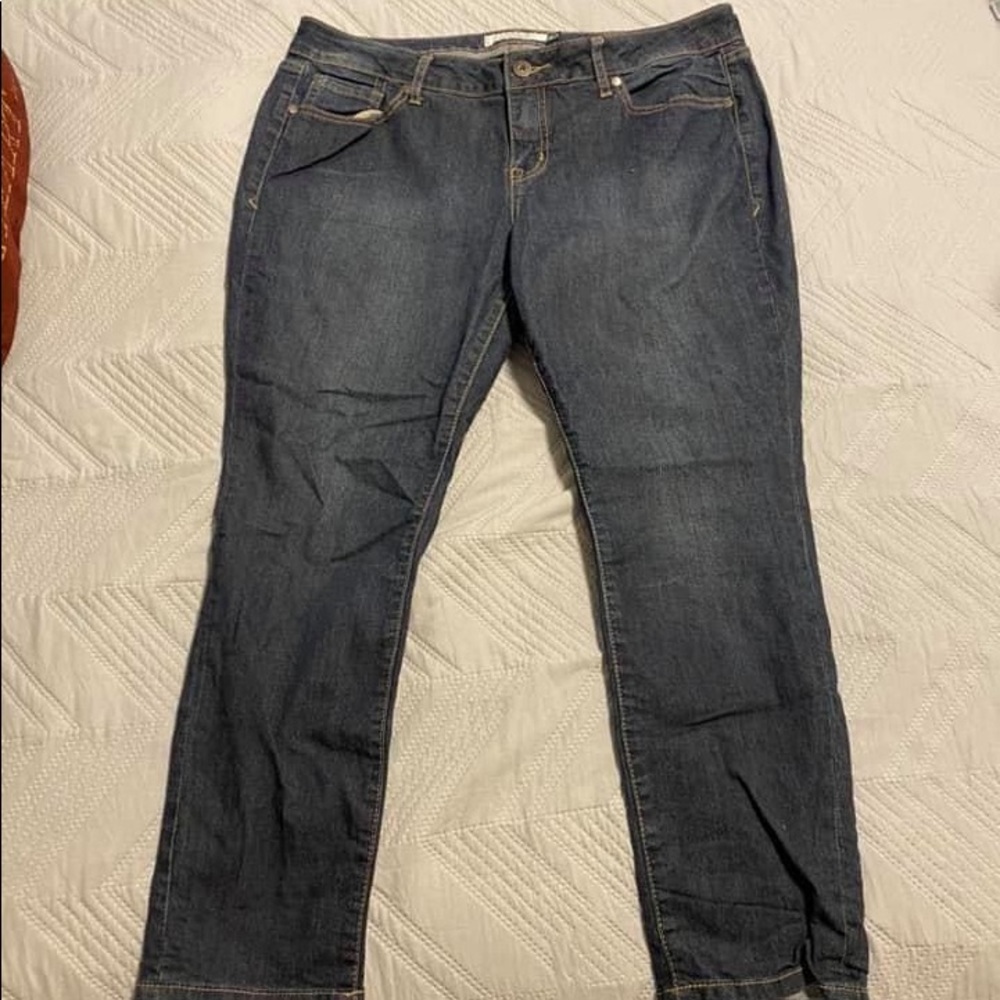 Torrid Denim Jeans
